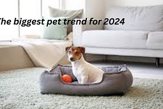 THE BIGGEST PET TREND FOR 2024