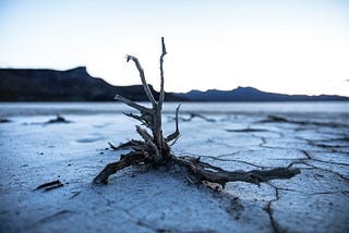 Apocalypse and Peace: Social Discord and a Shared Vision