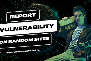Earn Money with Fun! Find Vulnerability in Random Sites