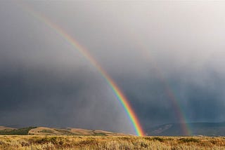 Rainbow Reigns ;

Life lessons from the spectacular bow