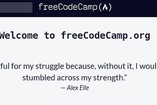 Day Nine: FreeCodeCamp and the 100 Days of Code Challenge