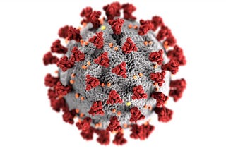 The Cunning Coronavirus