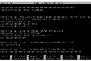 Debian Server OS Installation and Configuration