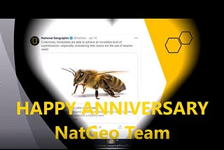 Happy Anniversary NatGeo Team!!!