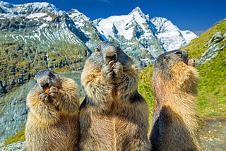 When a bear and a cat beget a monkey: Domain-adaptation of disambiguation models