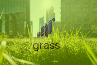 Using GetGrass.io to sell your unused bandwidth