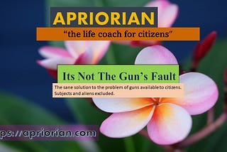 Its Not The Gun’s Fault