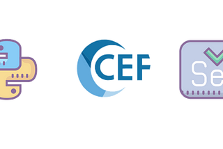 Settings and help functions Selenium + CEF + Python