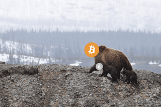 Bitcoin Isn’t Dying, It’s Just Hibernating