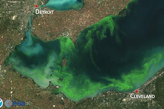 Moving Goalposts: The Challenge of Lake Erie Algal Blooms