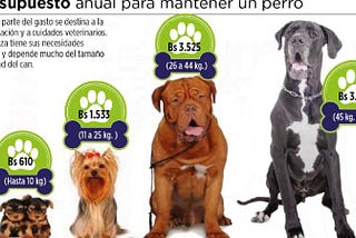 Mantener un perro mediano cuesta 3.800 bolivianos al año