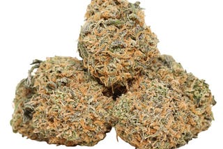 Gelato Strain Review: Cannabis Seeds on the Clock!