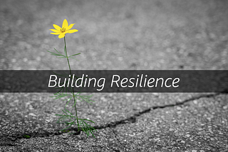 Building resilience-focused organizations