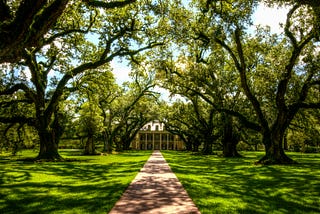 A brown road leading to a Southern mansion with trees lined on either side of the road.