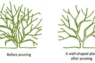 Cost Complexity Pruning in Decision Trees