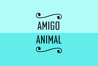 Branding — The Design of Amigo Animal’s Brand.
