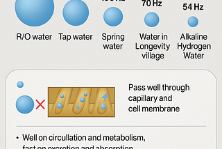 Supporting Cancer Patients Undergoing Treatment with Alkaline Hydrogen Water