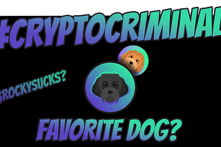 The Curious Case of $ROCKY and $MYRO: A Tale of Two Dogs and Their Tokenized Equality