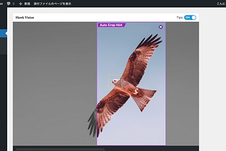 Hawk Vision – WordPress Plugin