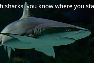 A shark swims by. Sharks are more honest than Trump and his people. With sharks, you know where you stand and there are no mind games or disinfo.