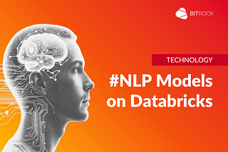 Optimizing NLP Models on Databricks
