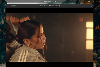 Playing MP4 videos on Elementary OS