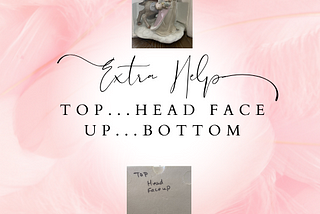 “Top...Head Face Up…Bottom”