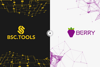 BSC.tools | Partnership With Berry Data