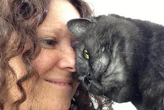 Q&A with Anita Kelsey: Cat Behaviour Specialist