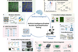 AI-Powered Digital Nucleic Acid Amplification Testing: Transforming Precision Medicine and…