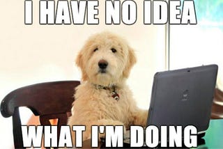 Meme - I have no idea What I am doing — The 9 Dog Memes Every Respectable Dog Person Should Know (2015)