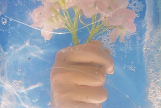 hand holding a bunch of daisies in an underwater perspective (Moving to substack
