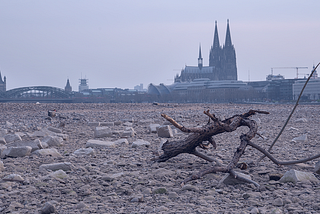 Europe’s Drought, a signpost for the future?