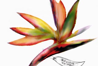 BOUQUETS BY PAUL