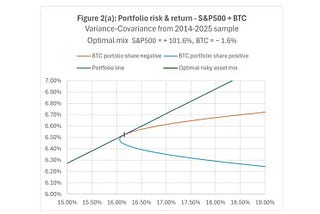 Is The Optimal Long-term Portfolio Share of Bitcoin Negative?