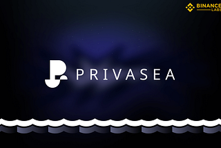 What Is the Privasea AI Network?