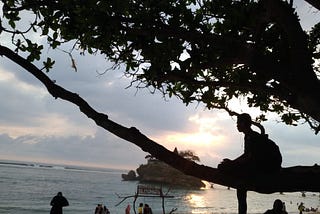 Aberration — Brainy Edition