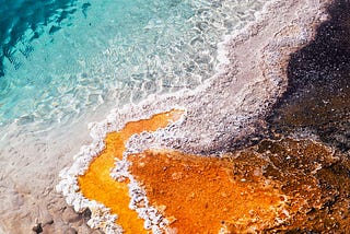 Bed of Water