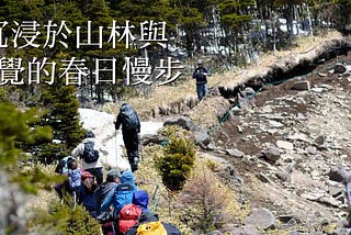 沉浸於山林與味覺的春日慢步