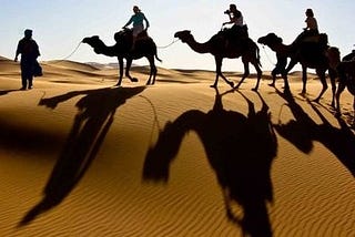 Camel Safari in Dubai