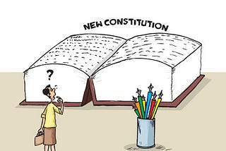 The Race of Constitution Making