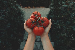 Red coloured berries to your skin’s rescue