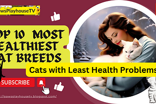 Which Cat Breeds has the Least Health Problems?