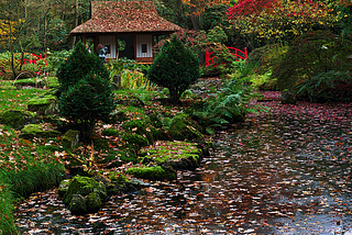 The Japanese garden at the Clingendael Estate, The Hague / Netherlands