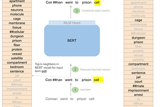 Examining BERT’s raw embeddings