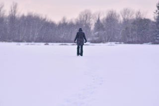 The Winter of My Discontent