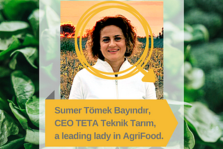 Insights in Turkish Agriculture Challenges through Sumer Tömek Bayındır.