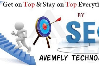 SEO Company in Delhi