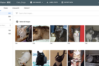 Classifying Cats & Dogs images with AutoML Vision