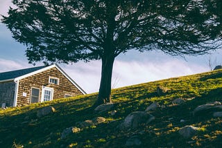 A tree, house, hill and sky